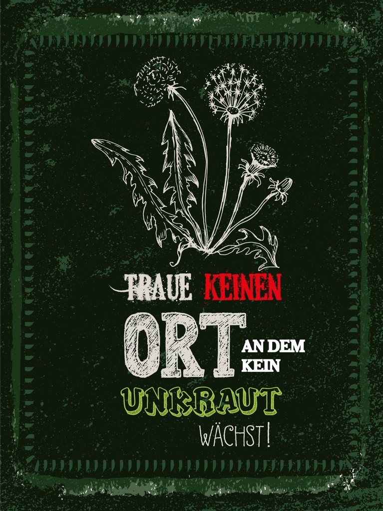 [LA-1813119-H] Holzschild 40x30 cm traue keinem Ort an dem kein Unkraut wächst Schild