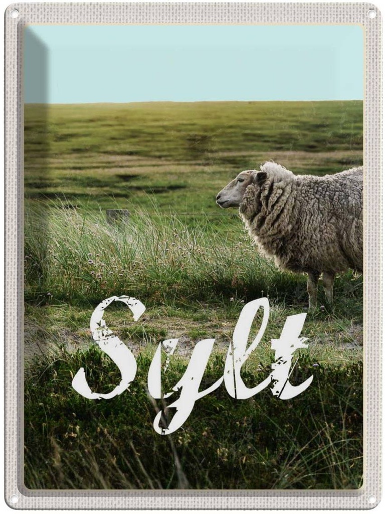 [LA-136927] Blechschild 40x30 cm Sylt InselWiese Schaf Bildmotiv Reisemotiv Abenteuer Reisen Deutschland Urlaub