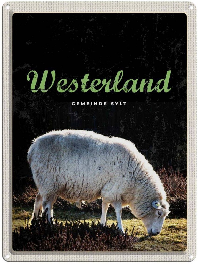 [LA-136972] Blechschild 40x30 cm Westerland Natur Tiere Schafe Wiese Bildmotiv Reisemotiv Abenteuer Reisen Urlaub