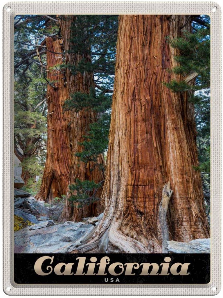 [LA-137323] Blechschild 40x30 cm California Amerika USA Urlaub Natur Wald Bäume Bildmotiv Reisemotiv Abenteuer Reisen