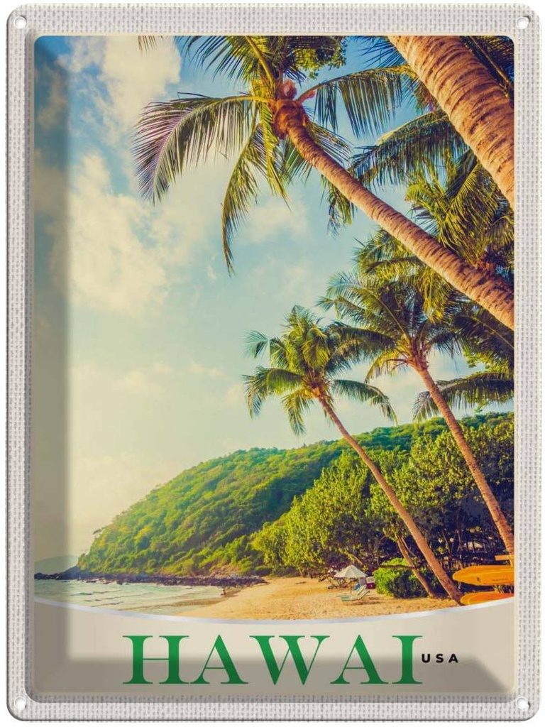 [LA-137370] Blechschild 40x30 cm Hawai USA Amerika Urlaub Insel Strand Meer Bildmotiv Reisemotiv Abenteuer Reisen