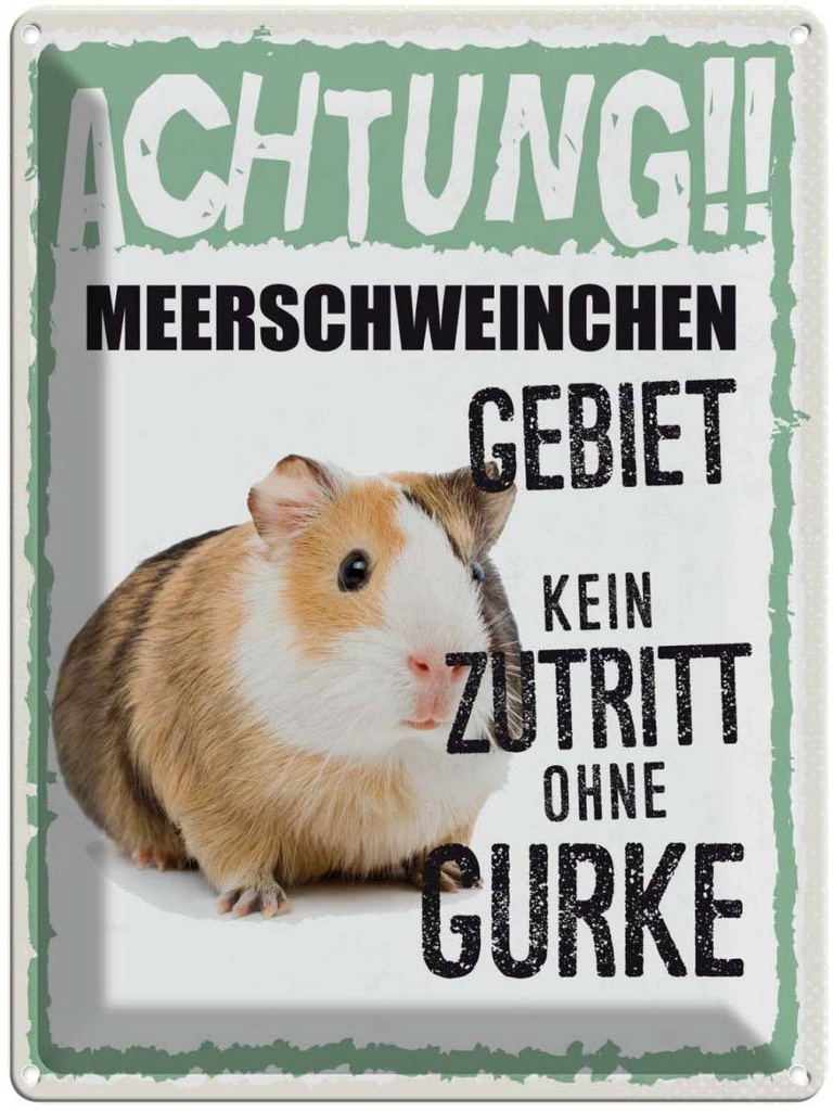 [LA-137876] Blechschild 40x30 cm Tiere Achtung Meerschweinchen Tier Haustier
