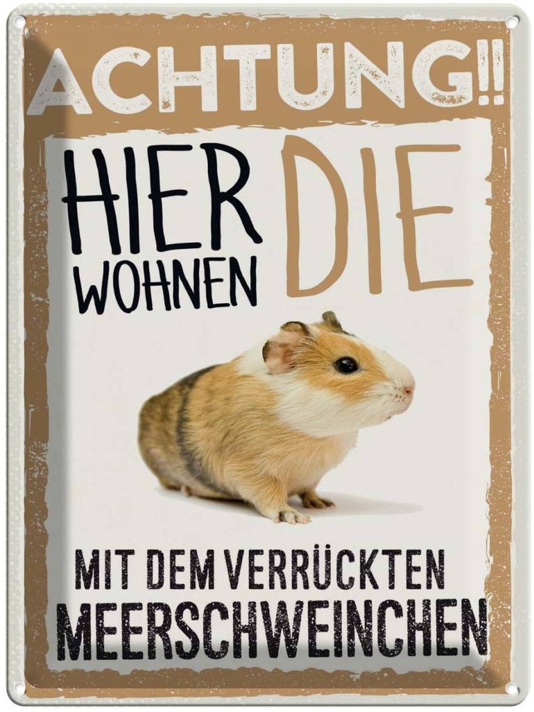 [LA-137887] Blechschild 40x30 cm Tiere Achtung hier Meerschweinchen Tier Haustier