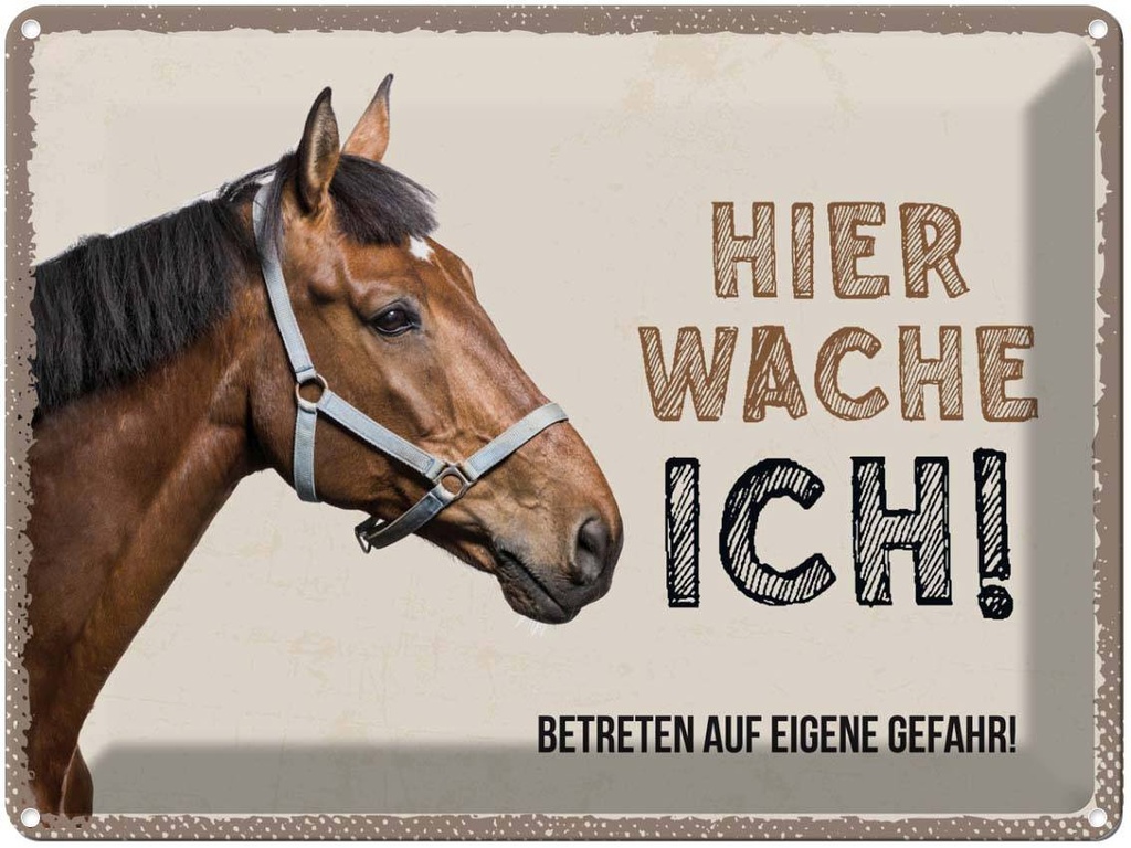 [LA-137909] Blechschild 30x40 cm Pferd hier wache ich eigene Gefahr Tier Haustier