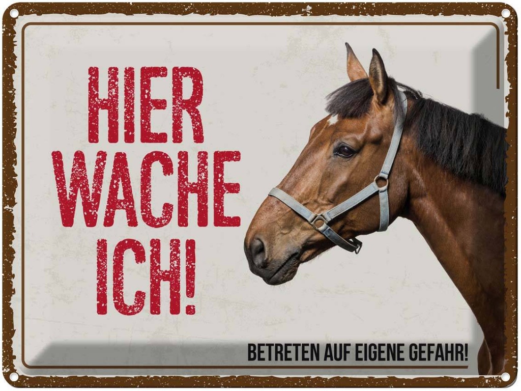 [LA-137918] Blechschild 30x40 cm Pferd hier wache ich eigene Gefahr Tier Haustier
