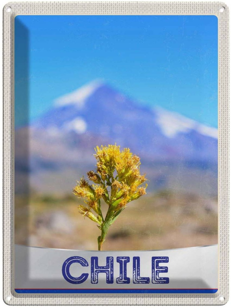 [LA-137994] Blechschild 40x30 cm Chile Blume Gebirge Bildmotiv Reisemotiv Abenteuer Reisen Amerika USA Urlaub