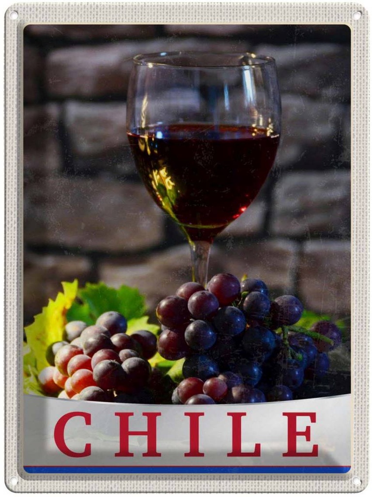 [LA-137995] Blechschild 40x30 cm Chile Wein Urlaub Trauben Tradion Bildmotiv Reisemotiv Abenteuer Reisen Amerika USA