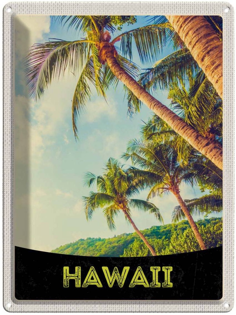 [LA-138014] Blechschild 40x30 cm Hawai Insel USA Urlaub Strand Palmen Meer Bildmotiv Reisemotiv Abenteuer Reisen Amerika