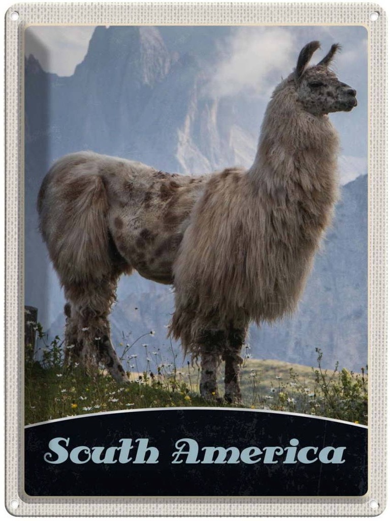 [LA-138109] Blechschild 40x30 cm Süd Amerika USA Urlaub Lama Gebirge Wiese Bildmotiv Reisemotiv Abenteuer Reisen