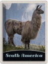 Blechschild 40x30 cm Süd Amerika USA Urlaub Lama Gebirge Wiese Bildmotiv Reisemotiv Abenteuer Reisen