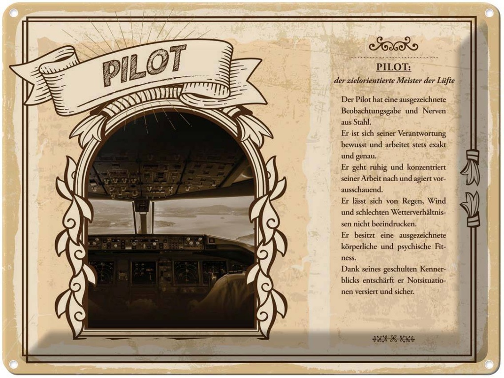 [LA-138258] Blechschild 30x40 cm Pilot zielorientierter Meister Beruf Arbeit