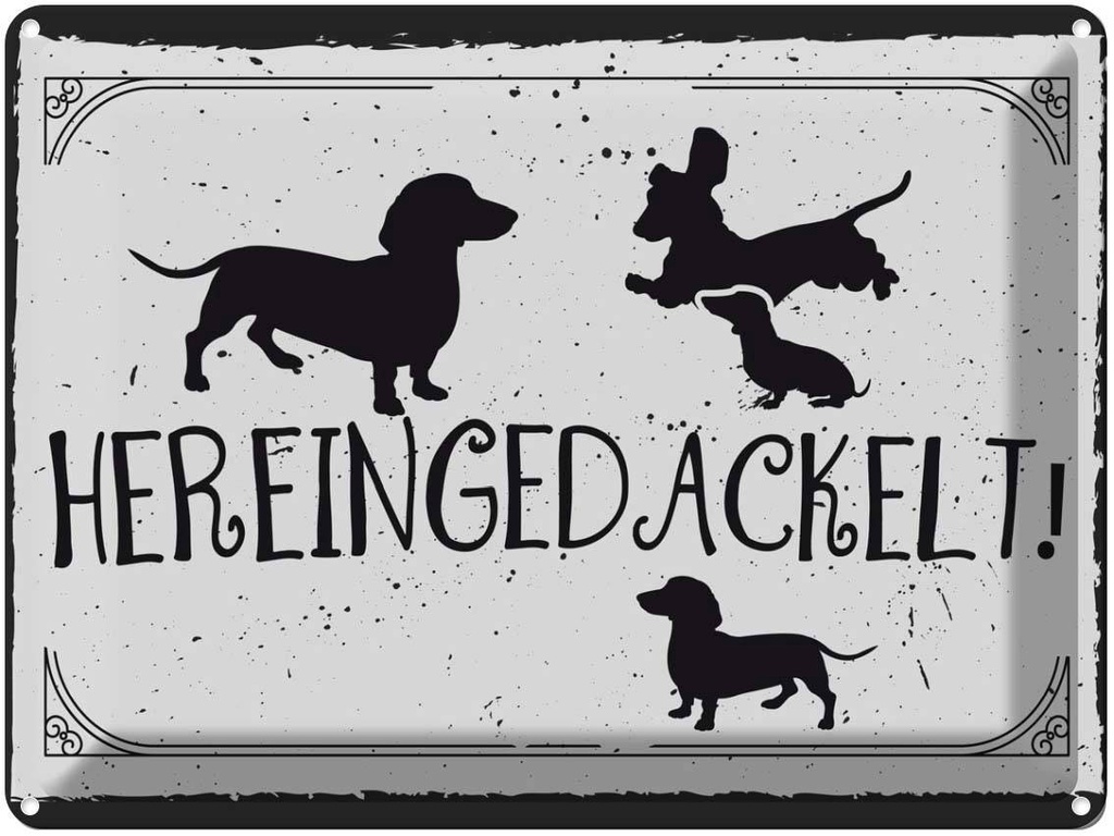[LA-138399] Blechschild 30x40 cm Hereingedackelt! Dekoration