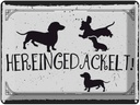 Blechschild 30x40 cm Hereingedackelt! Dekoration