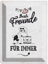 Blechschild 40x30 cm beste Freunde für immer Familie