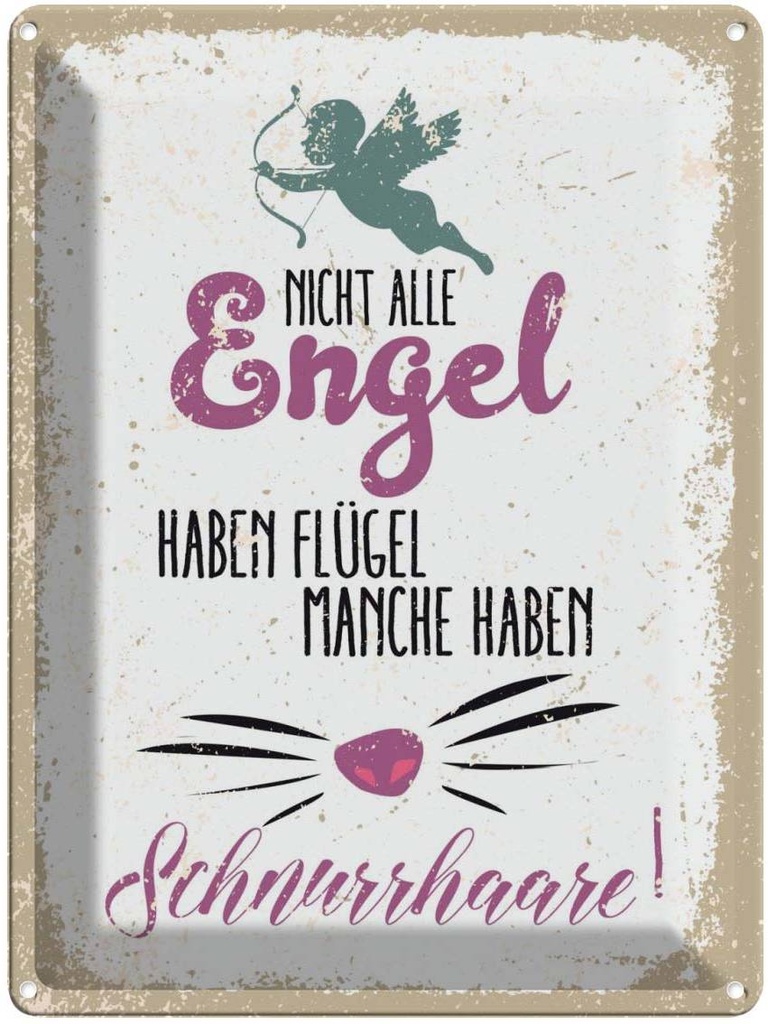 Blechschild 40x30 cm Nicht alles Engel haben Flügel Dekoration Spruch Zitat