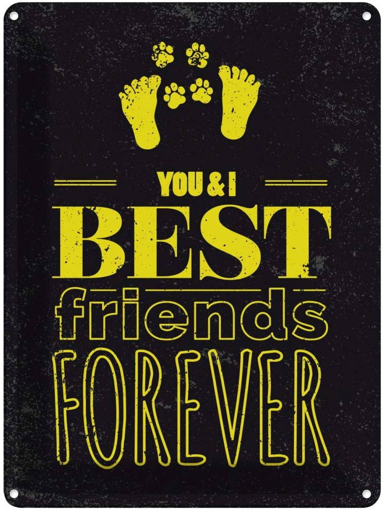 Blechschild 40x30 cm Freunde You I best friends forever Spruch Zitat