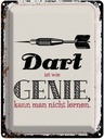 Blechschild 40x30 cm Dart Genie kann man nicht lernen Sport Hobby Spruch Zitat