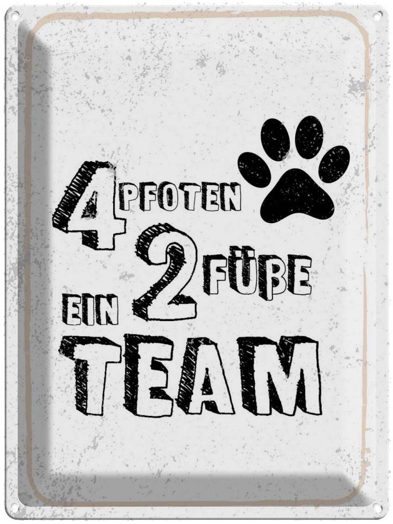 Blechschild 40x30 cm Tiere 4 Zitat Pfoten ein 2 Füße Team Tier Haustier Spruch