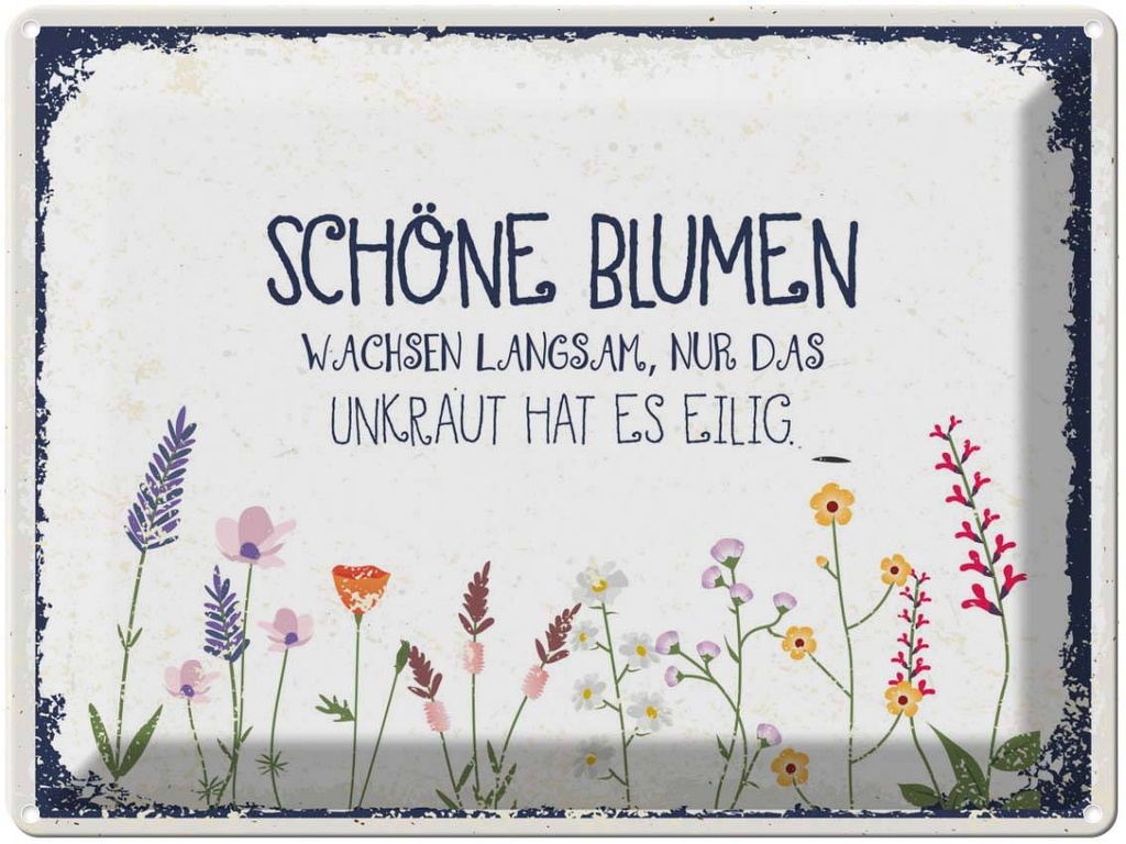 Blechschild 30x40 cm schöne Blumen wachsen langsam Dekoration Spruch Zitat
