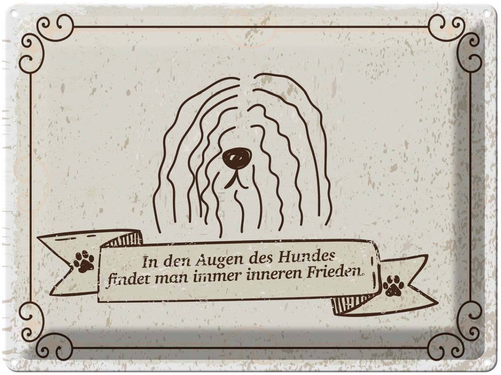 Blechschild 30x40 cm In den Augen des Hundes Frieden Spruch Zitat