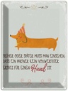 Blechschild 40x30 cm kein Ersatz für einen Hund Tier Haustier