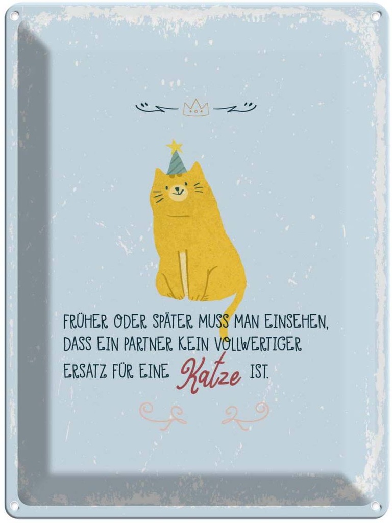 Blechschild 40x30 cm kein Ersatz für eine Katze Tier Haustier