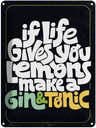 Blechschild 40x30 cm life gives Lemons make Gin & Tonic Essen Trinken