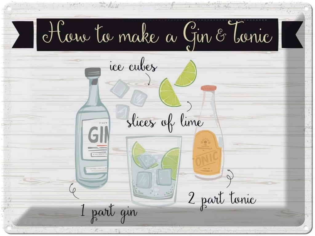 Blechschild 30x40 cm How to make a Gin & Tonic Essen Trinken
