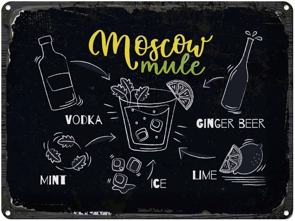 Blechschild 30x40 cm Moscow Mule Ginger Beer Ice Essen Trinken
