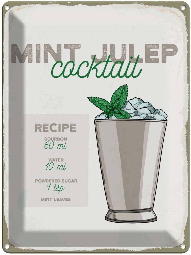 Blechschild 40x30 cm Mint Julep Cocktail Recipe Essen Trinken