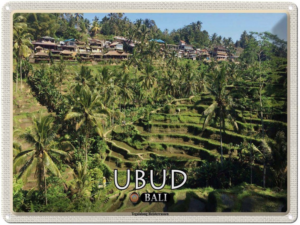 Blechschild 30x40 cm Ubud Bali Tegalalang Reisterrassen Bildmotiv Reisemotiv Abenteuer Reisen