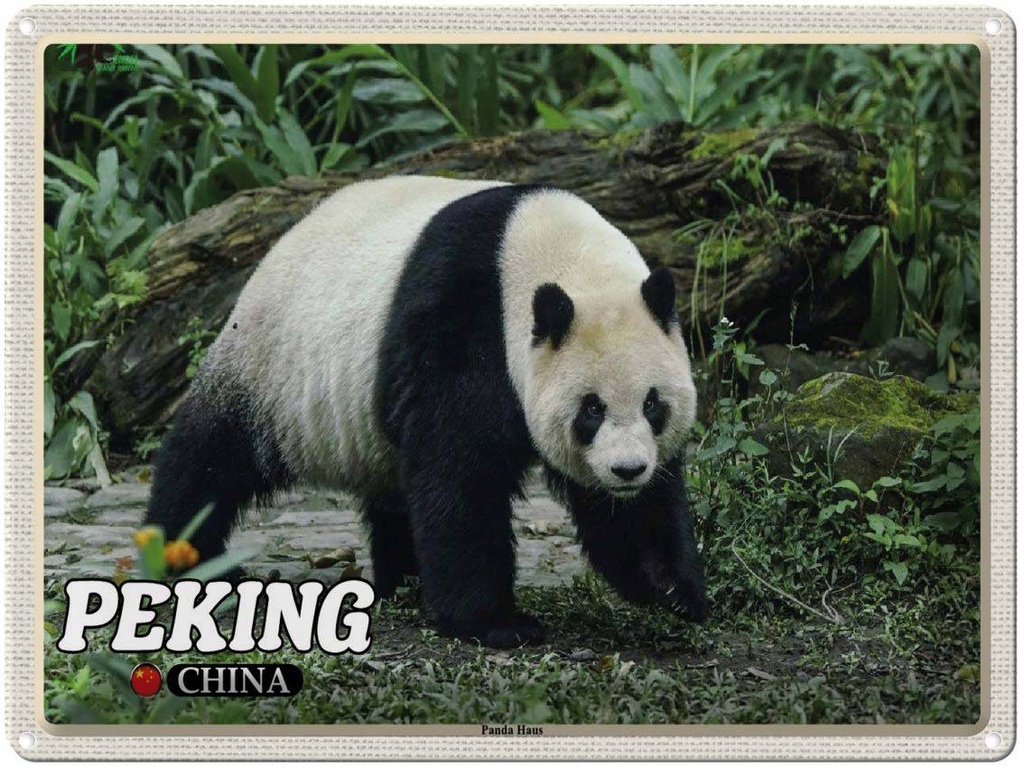 Blechschild 30x40 cm Peking China Panda Haus Bildmotiv Reisemotiv Abenteuer Reisen
