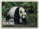 Blechschild 30x40 cm Peking China Panda Haus Bildmotiv Reisemotiv Abenteuer Reisen