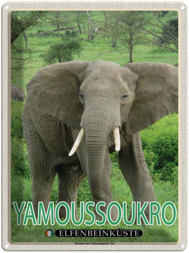 Blechschild 40x30 cm Yamoussoukro Elfenbeinküste Nationalpark Bildmotiv Reisemotiv Abenteuer Reisen