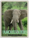 Blechschild 40x30 cm Yamoussoukro Elfenbeinküste Nationalpark Bildmotiv Reisemotiv Abenteuer Reisen