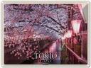 Blechschild 30x40 cm Tokio Japan Kirschblüten Bäume Fluss Bildmotiv Reisemotiv Abenteuer Reisen