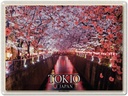 Blechschild 30x40 cm Tokio Japan Kirschblütenfest Bäume Fluss Bildmotiv Reisemotiv Abenteuer Reisen