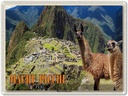 Blechschild 30x40 cm Machu Picchu Ruinen der Inka-Stadt Lamas Bildmotiv Reisemotiv Abenteuer Reisen