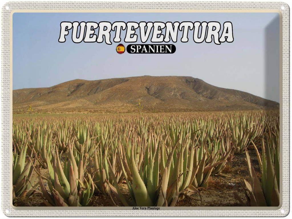 Blechschild 30x40 cm Fuerteventura Spanien Aloe Vera Plantage Bildmotiv Reisemotiv Abenteuer Reisen