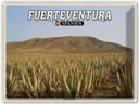 Blechschild 30x40 cm Fuerteventura Spanien Aloe Vera Plantage Bildmotiv Reisemotiv Abenteuer Reisen