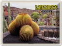 Blechschild 30x40 cm Lanzarote Spanien Jardin de Cactus Garten Bildmotiv Reisemotiv Abenteuer Reisen