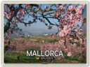 Blechschild 30x40 cm Mallorca Spanien Mandelblüten Bildmotiv Reisemotiv Abenteuer Reisen