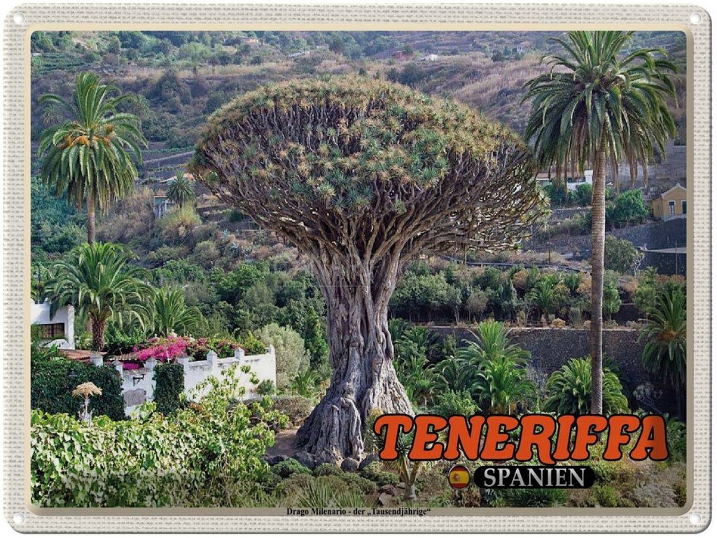 Blechschild 30x40 cm Teneriffa Drago Milenario-Tausendjährige Bildmotiv Reisemotiv Abenteuer Reisen