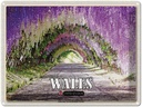 Blechschild 30x40 cm Wales Laburnum Arch Bodnant Garden Bildmotiv Reisemotiv Abenteuer Reisen