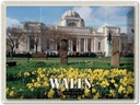 Blechschild 30x40 cm Wales United Kingdom Museum Cardiff Bildmotiv Reisemotiv Abenteuer Reisen