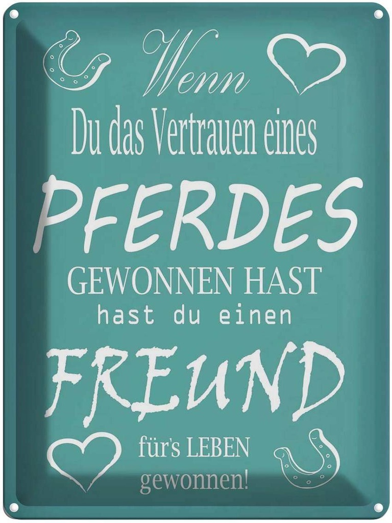 [LA-1789066] Blechschild 40x30 cm Wenn du Vertrauen eines Pferd Spruch Zitat