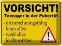 Blechschild 30x40 cm Vorsicht Teenager in Pubertät Spruch Zitat