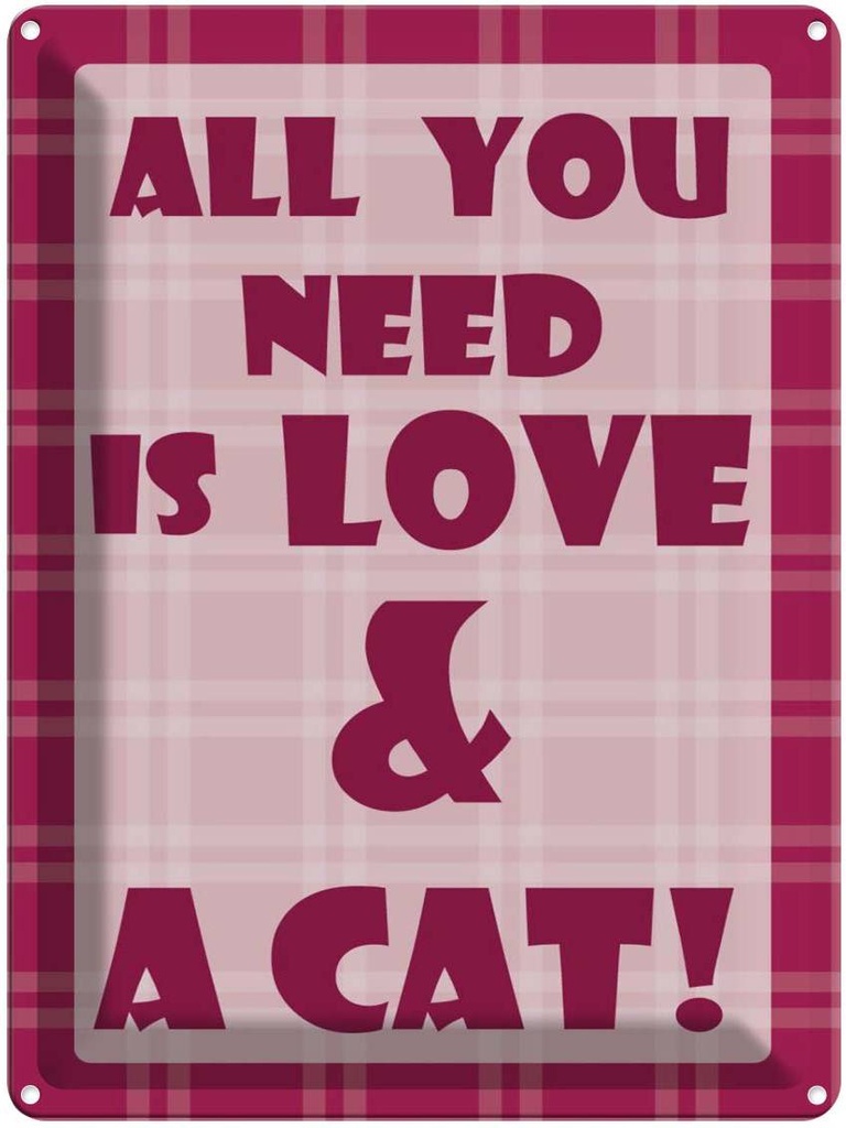 Blechschild 40x30 cm All you need & Cat