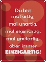 Blechschild 40x30 cm Du bist Einzigartig Spruch Zitat