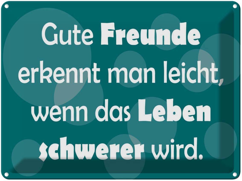 [LA-1789155] Blechschild 30x40 cm Gute Freunde grünes Spruch Zitat